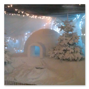 Ground Snow - Garden Centre 1