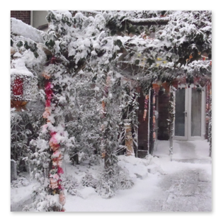 Ground Snow - Lost Christmas 1