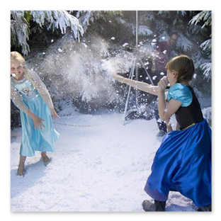 Ground Snow 32
