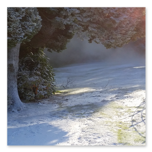 Snow PayPal Commercial 2